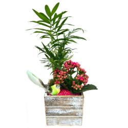 BOIS/S2P Jardi Garden 3P (1)