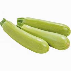 Courgette Amalthée