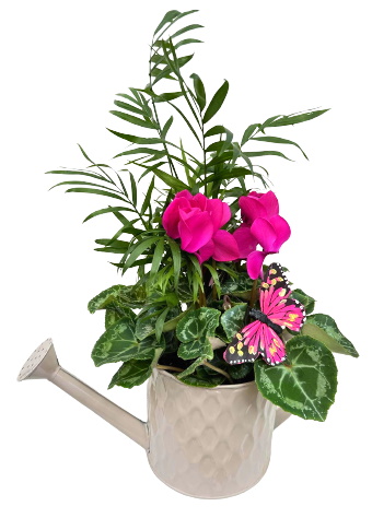 MET/Arrosoir color Rosace 2P (1)