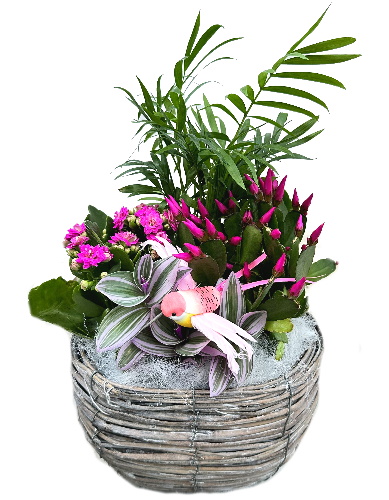 OSI/S2P Oval Flowers N-B 3P (1)
