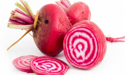 Betterave Rouge Chioggia ONDINE  ZP