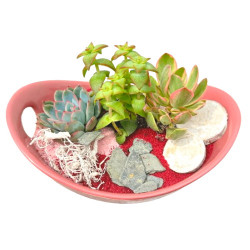 CER/Ceramique rose 3P (2)