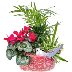 MET/Jardi oval rosace 3P (2)