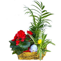 PAQ/Jardi paille 3P (2)