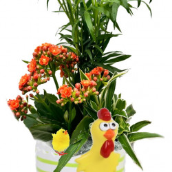 PAQ/Ceramique poule oeuf D13 3P (2)
