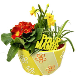OFFREGM/Ceramique fleurs 3P (2)