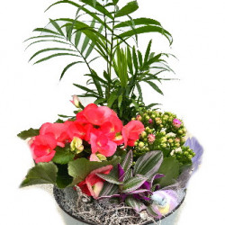 MET/S3M Atelier Nature 4P (2)