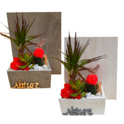 OF/Tableau Nature 3P (2)