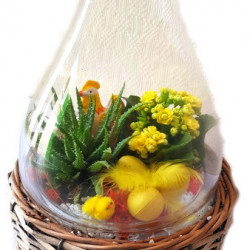 OFFREP/Cloche+osier 2P (2)