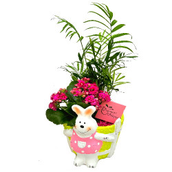 PAQ/Céramique lapin 2P (2)