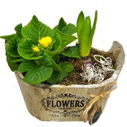 PRIM/S2P Oval Flowers 2P (2)