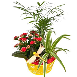 OFFRE/Cpe champêtre 3P (1)