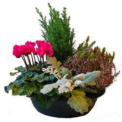 LIZA26 Jardinière ovale 26 cm