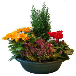 LIZA29 - Jardinière ovale 29 cm