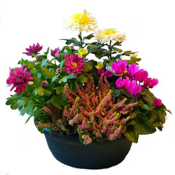 LIZA34 - jardinière ovale fleurie 34 cm