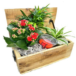 BOIS/Coffret bois+Bougie 3P (2)