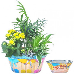 MER/Jardi metal plage 3P (1)