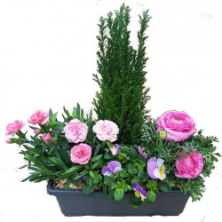 RAM/Jardi28 4P (1)