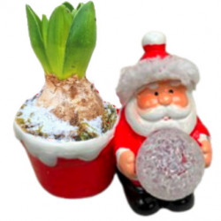 OFN/ JAC1 Père-Noël LED (2)