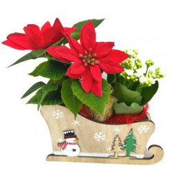 NOEL/Traineau Bois Noel 2P (2)