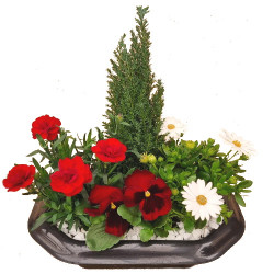 RAM/PL33 Plateau 4P (1)