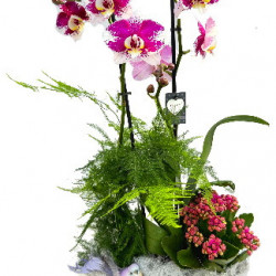 PHAL/PVC blanc 4P (2)