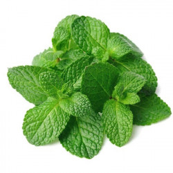 Menthe Poivree