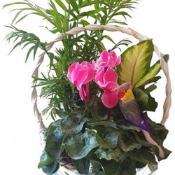 PANIER/P103  3P (1)