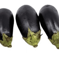 Aubergine Clara