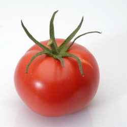 Tomate Rose de berne greffé Tuteur + clip