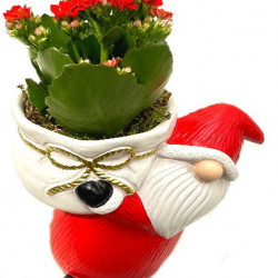 NOEL/Deco Père-Noël 1P  (2)