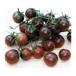 Tomate Cerise Black Cherry PROMO
