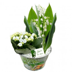 MUG/Cpe ronde muguet 3G (2)