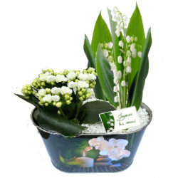 MUG/Jardi metal zen 3G (2)