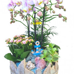 PHAL/S2G Bois plage 4P (2)