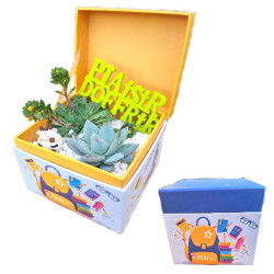 ECOLE/Coffret 