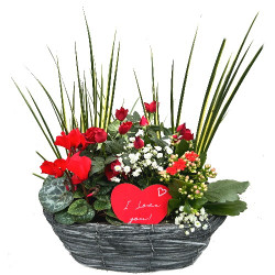 EXTV/Oval osier gris 5P (2)