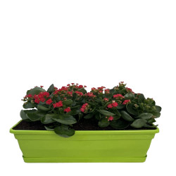 JK200 25 Cm - jardinière