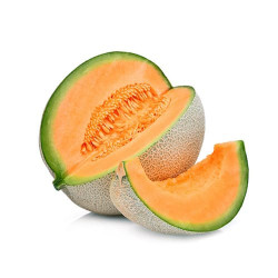 Melon Gallia brodé