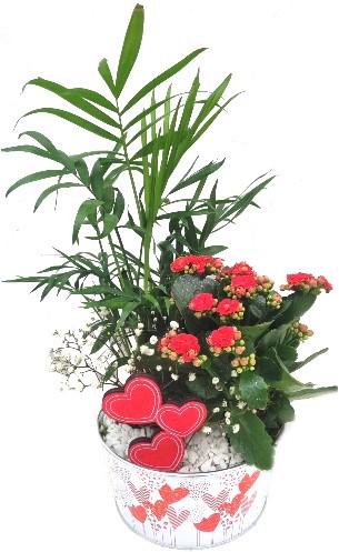 VAL/Cpe metal coeur 2P (2)