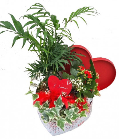 VAL/Coffret coeur LOVE 3P (2)