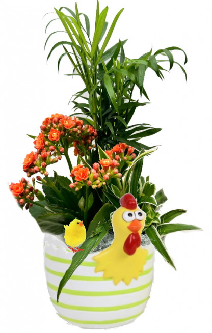 PAQ/Ceramique poule oeuf D13 3P (2)