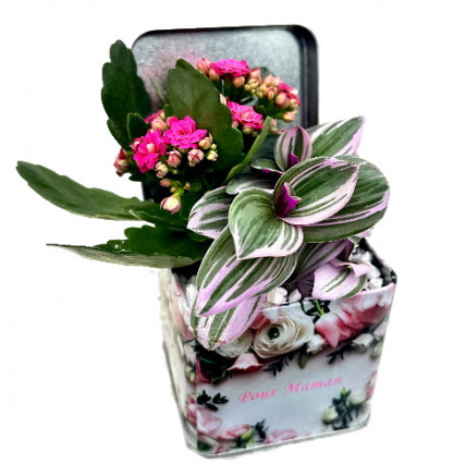 FM/Coffret 'BF Maman'