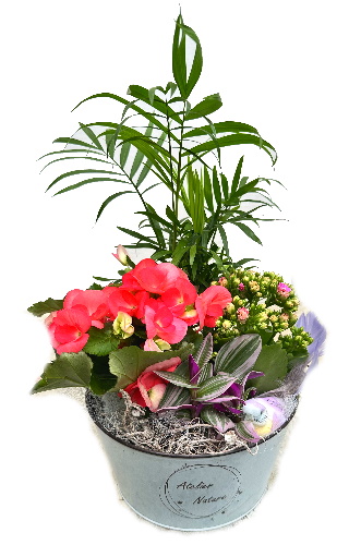 MET/S3M Atelier Nature 4P (2)