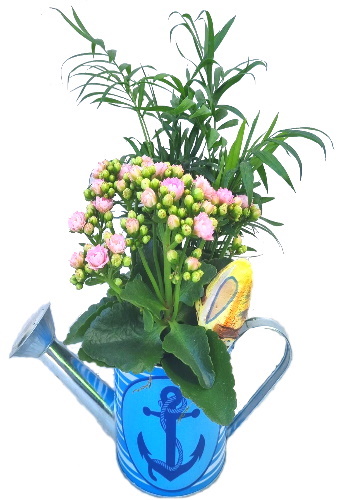 MER/Arrosoir Marin 2P (2)