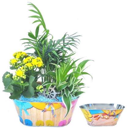 MER/Jardi metal plage 3P (2)