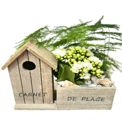 MER/Carnet plage 2P (2)