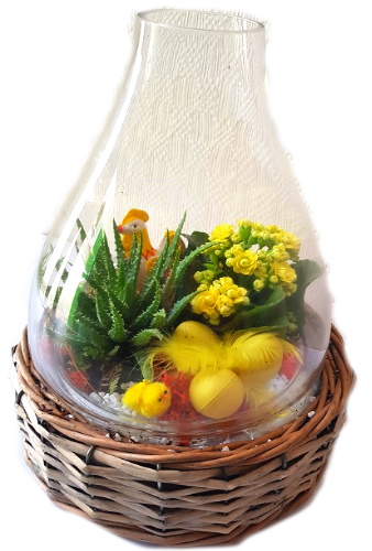 OFFREP/Cloche+osier 2P (2)