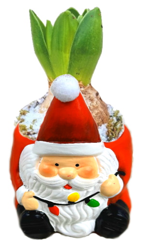 JAC1/Père-Noël Guirlande (2)