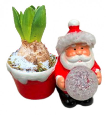 OFN/ JAC1 Père-Noël LED (2)